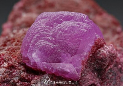 好美的钴方解石 Cobaltoan Calcite 颜色没谁了！！