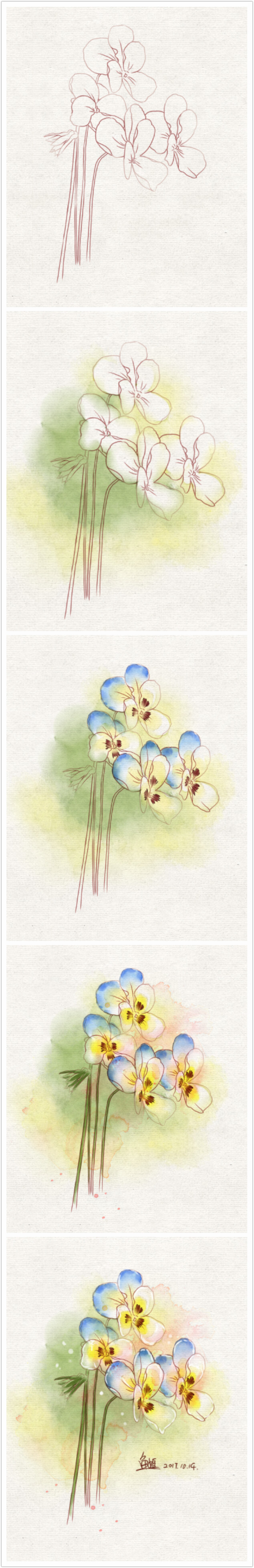 插画师鱼姬原创水彩三色堇