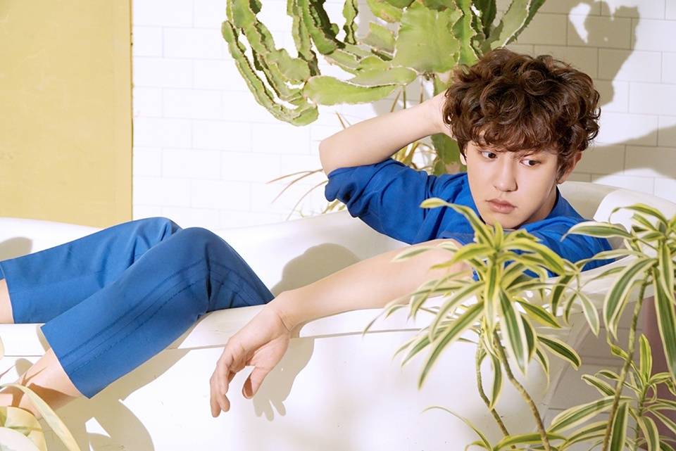 灿烈 EXO 朴灿烈 chanyeol 《Ceci》2月刊 可爱卷发 暖系萌男