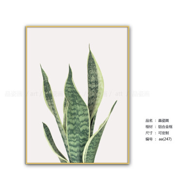 北欧风格装饰画 客厅壁画简约小清新植物挂画 沙发墙画 样板间装饰画 现代简约小清新植物派装饰画 超美上墙效果 张13316925287