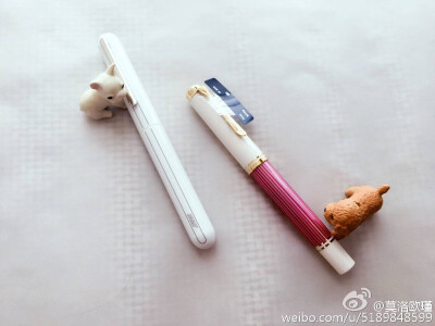 lamy 焦点3
