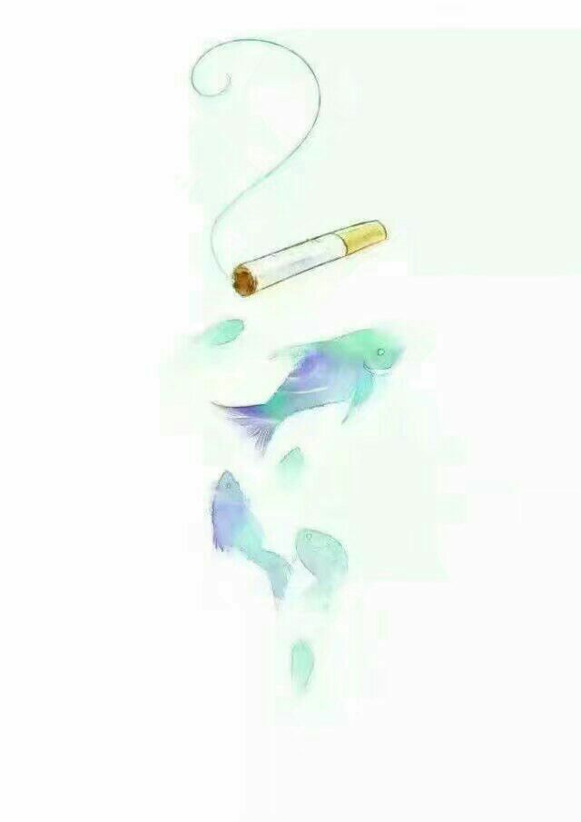 海贼王