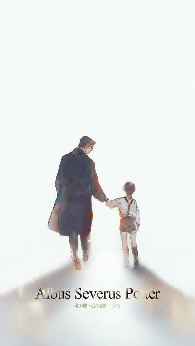 哈利波特 阿不思·西弗勒斯·波特