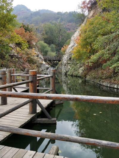 木栈道