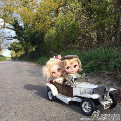 小布