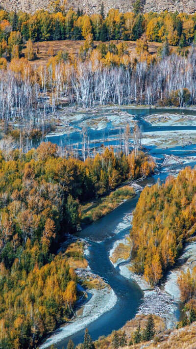 风景