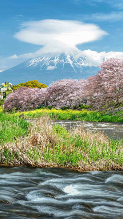 富士山下