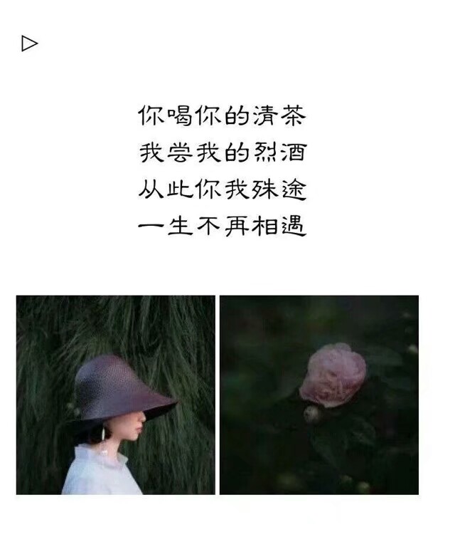 你走你的独木桥
我走我的阳关道