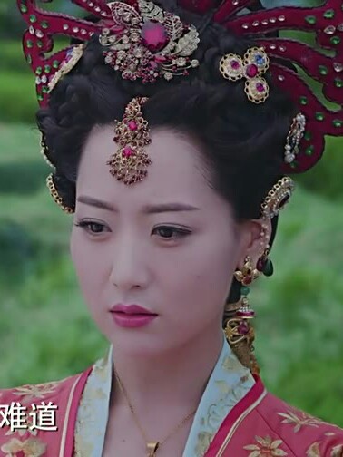 天泪传奇之凤凰无双高嫣白冰