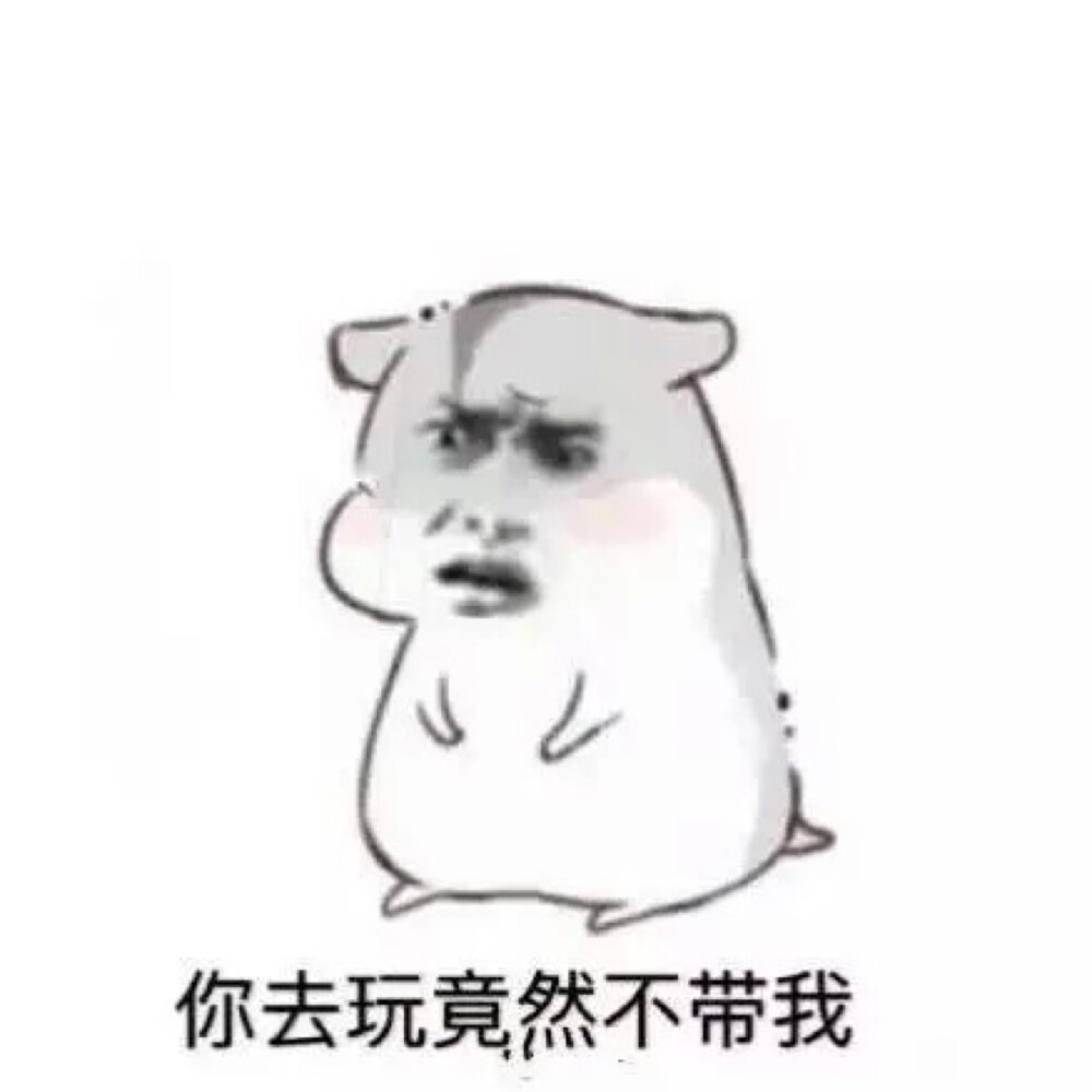 你去玩竟然不带我