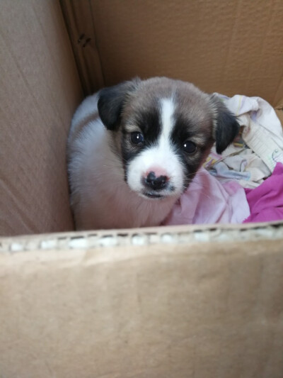 超爱的，人生一位短暂的过客。