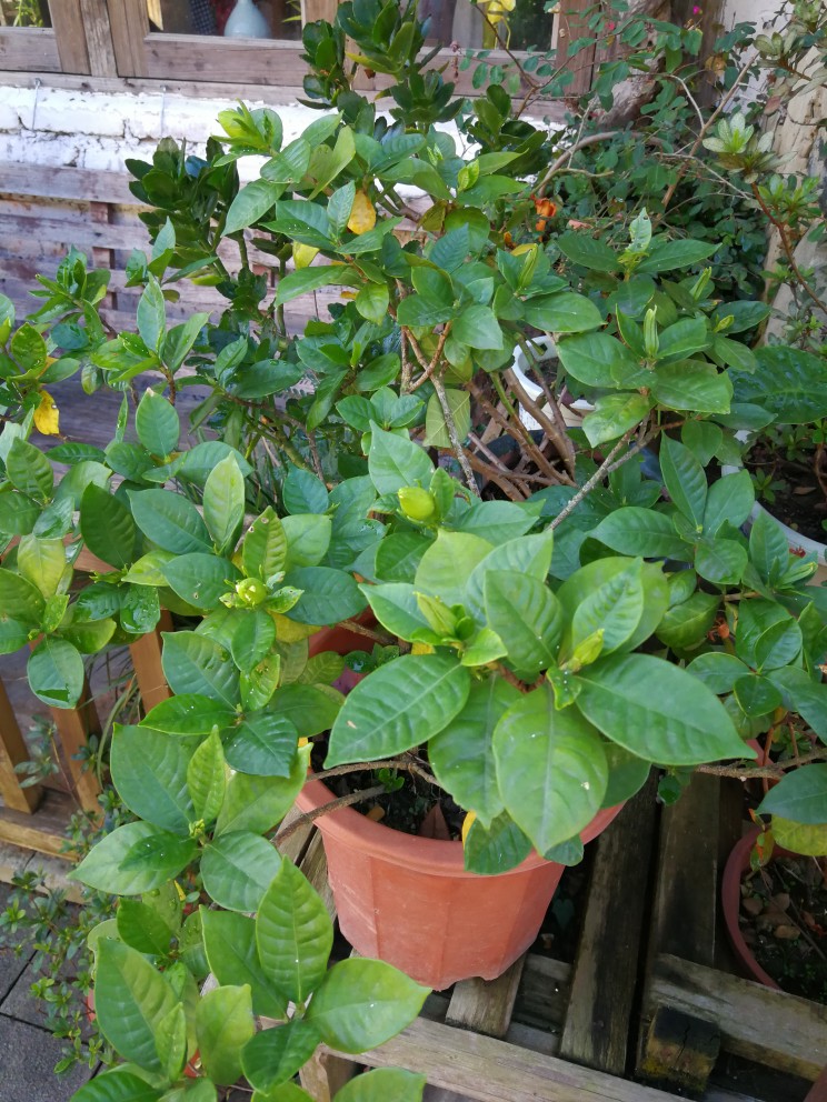 我在想自己的未来，现在身边没有亲近的人了，对谁都有戒心。想来自己虽然有问题，但是不能怪我。