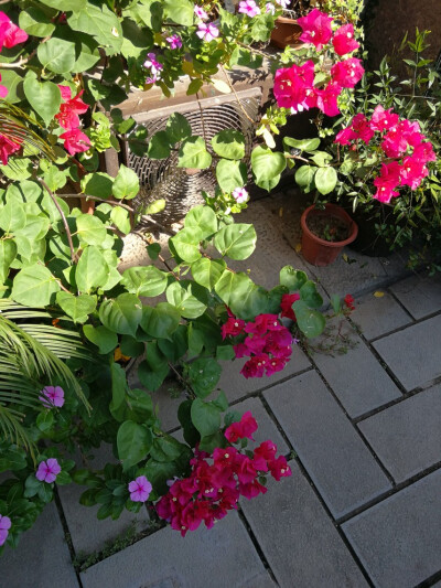 仔细的想了想自己，要试着走一条新的路。