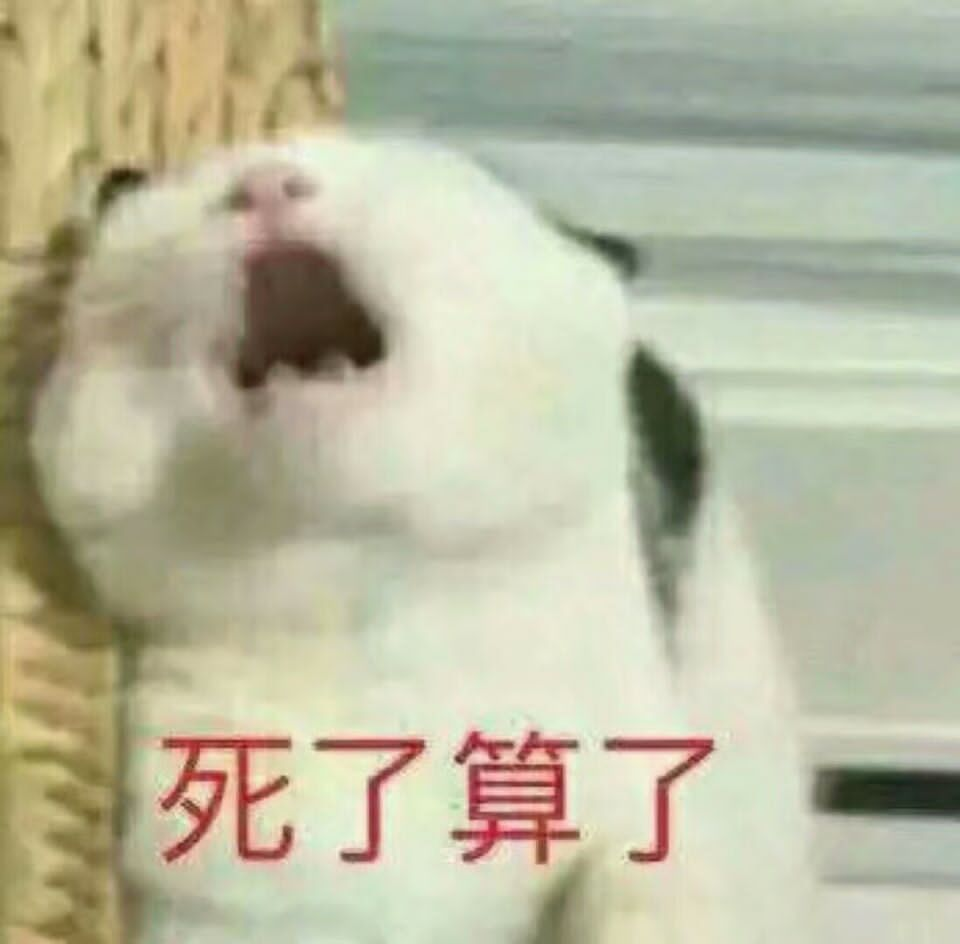 猫猫表情包