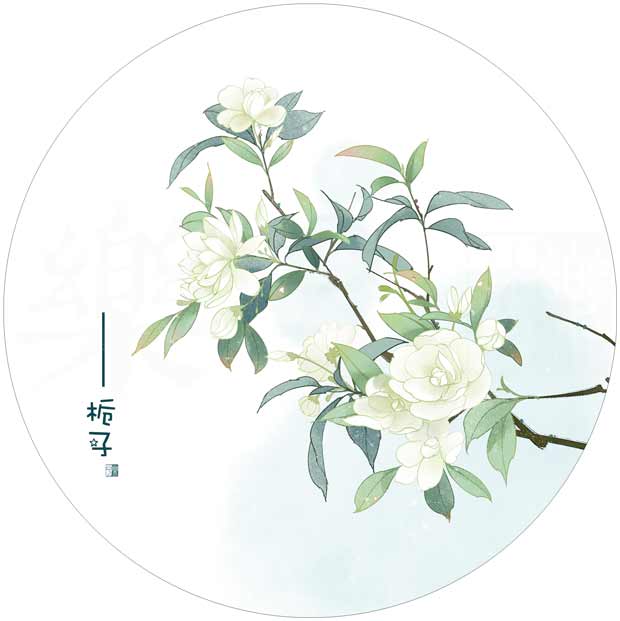 手绘古风花·中药系列
画师：樂兮