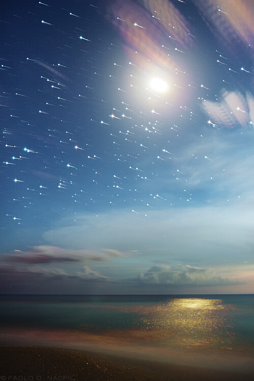 The Moon and Stars
28 images combined, each with a 15 second exposure. Taken around 8:30pm at Caspersen Beach, Florida. Stacked using Waguila’s star stacker program and the star spikes program for the diffraction effect. 
Photographed by: Paolo Nacpil