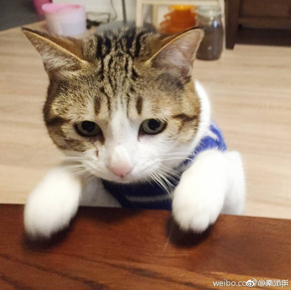 瓜皮＃情头＃图源水印＃侵删