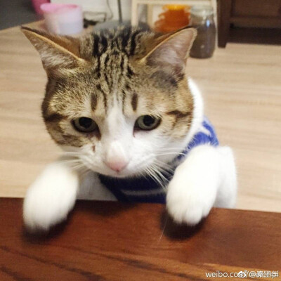 瓜皮＃情头＃图源水印＃侵删