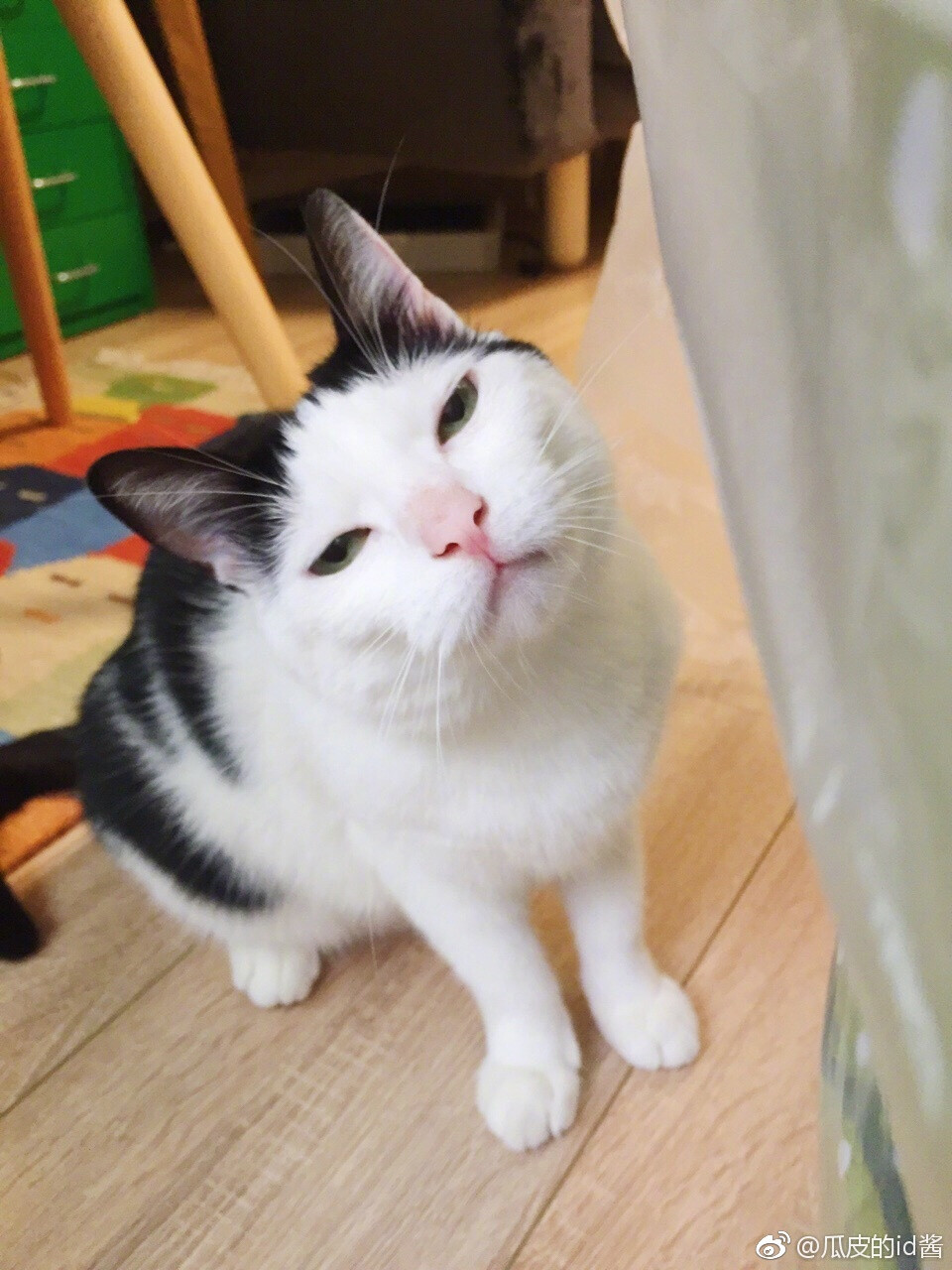 萌萌＃图源水印＃侵删