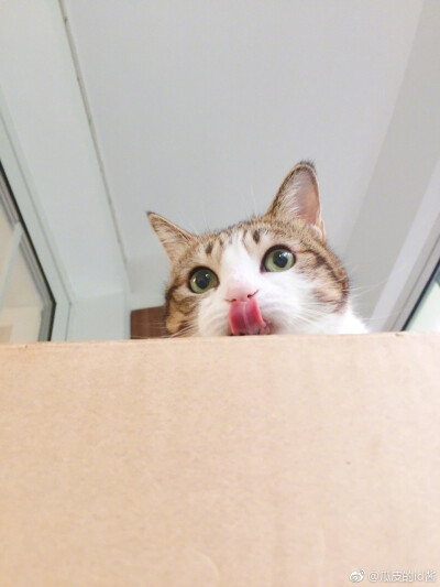 瓜皮＃图源水印＃侵删