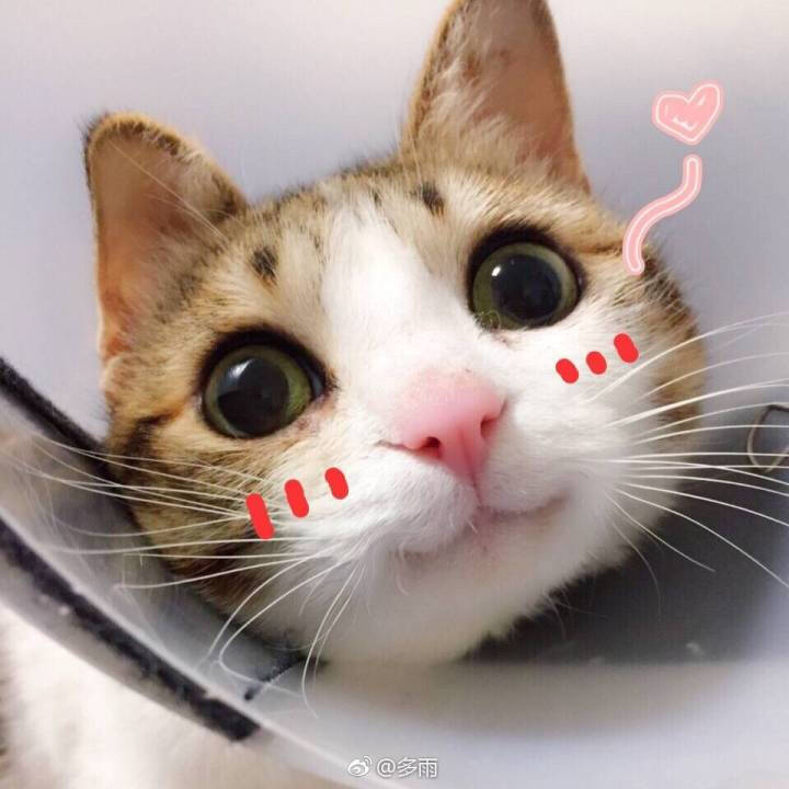 瓜皮＃图源水印＃侵删