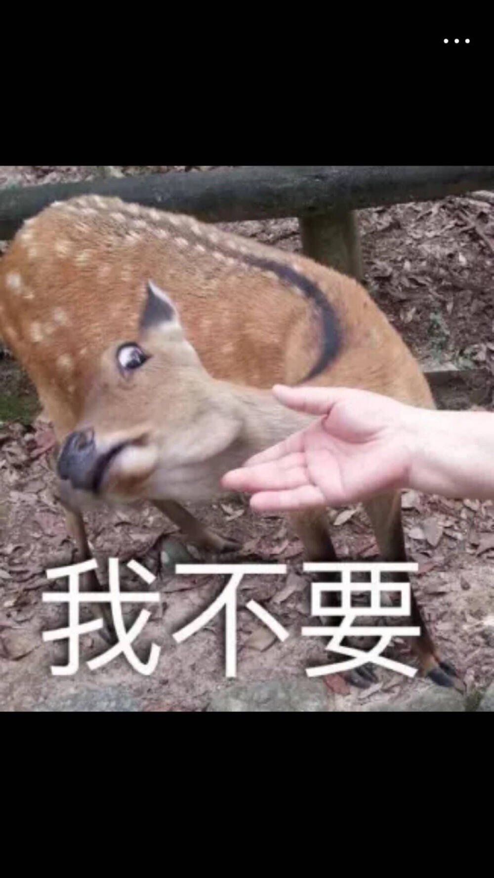 表情包 我不要 - 高清图片，堆糖，美图壁纸兴趣社区