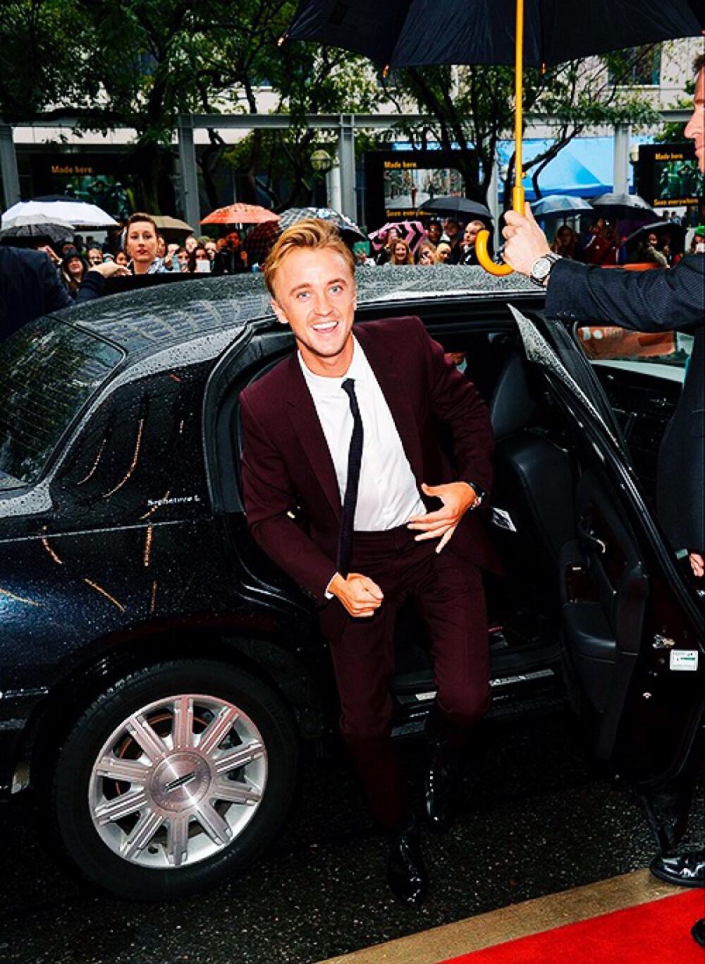 Tom Felton 