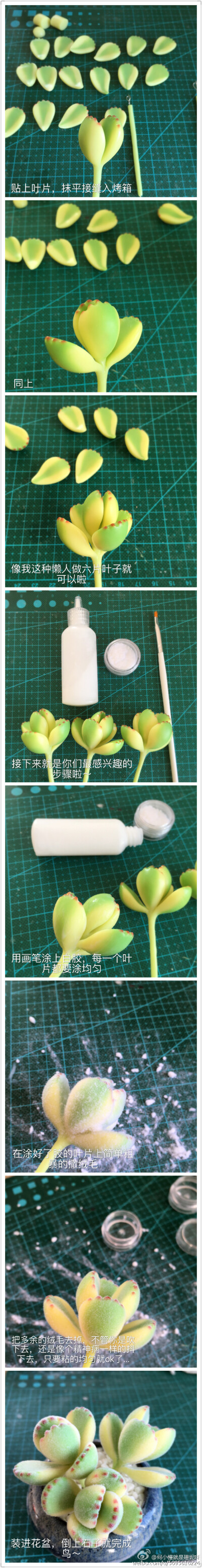 收藏@何小慢的熊童子制作