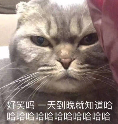 何以解忧 唯有暴富.
๑阿沐๑