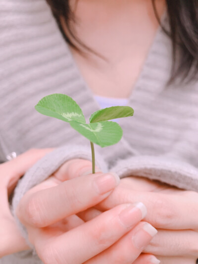 周末和菲林 芽芽在西电里拍照