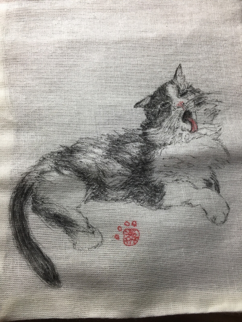 给小跑画猫咪