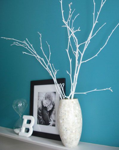 干枯的树枝也能拿来做家庭装饰，而且装饰效果非常强。