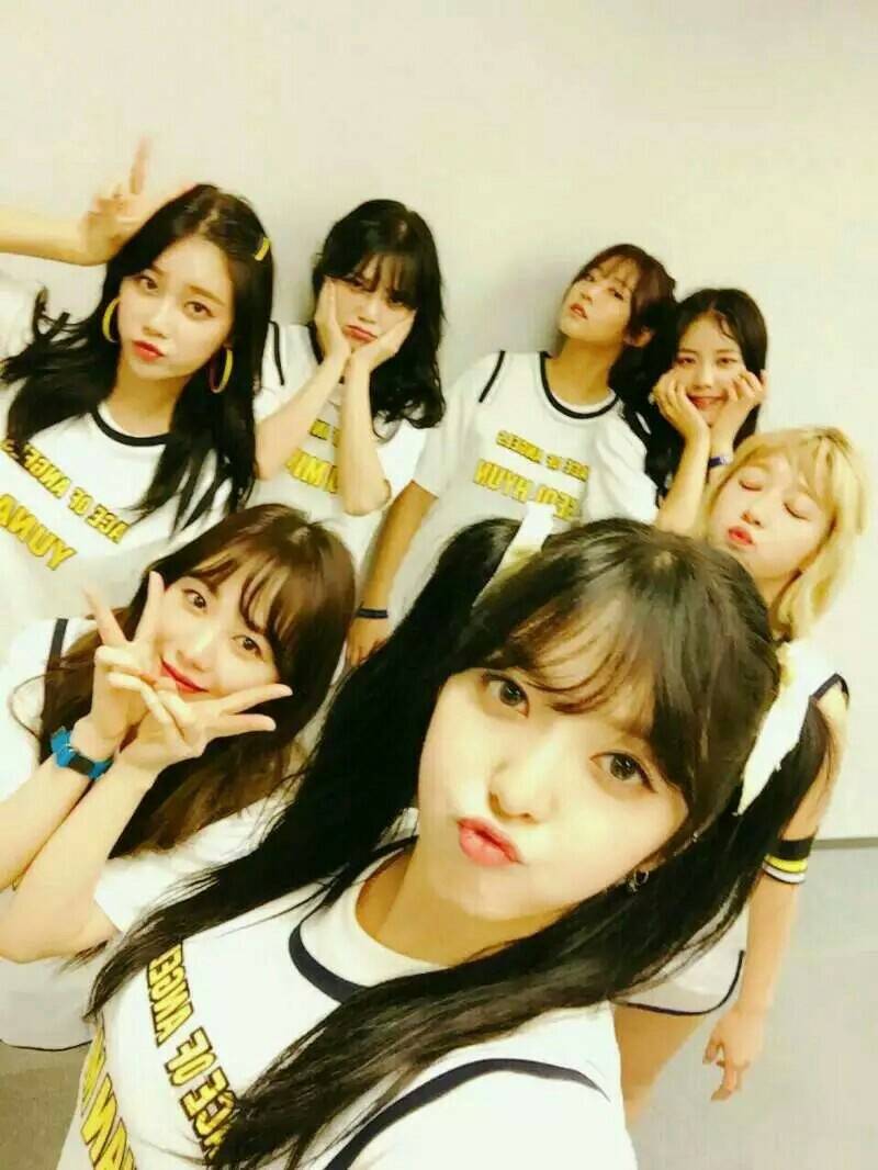 AOA
