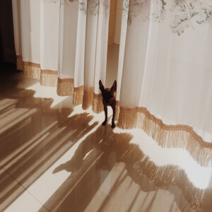 无论发生了什么事，我们有多痛苦，你依然那么天真