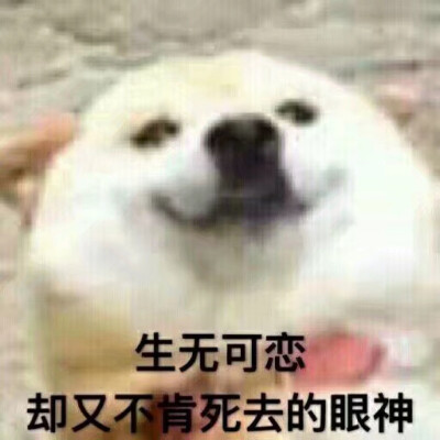 生无可恋