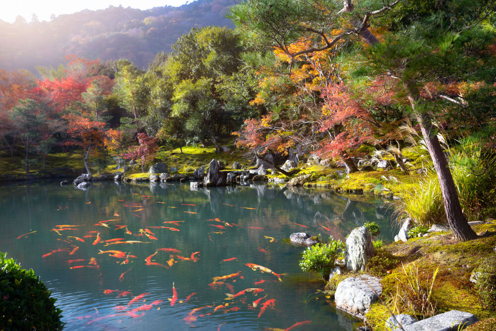 171025 - Arashiyama, JapanPhoto by pat138241 / 123RF