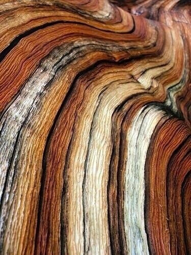 【木头的肌理，岁月的痕迹 ​​​​】#设计秀# #设计参考# ​​​​