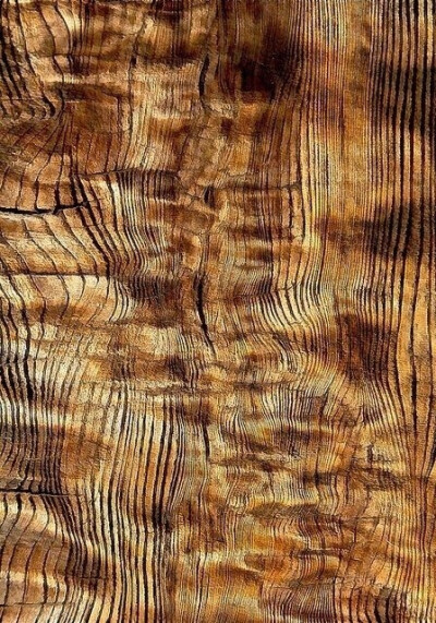 【木头的肌理，岁月的痕迹 ​​​​】#设计秀# #设计参考# ​​​​