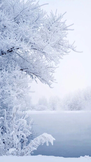 雪景