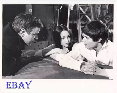 奥丽维娅·赫西 Olivia Hussey（1951年4月17日），兼备东方和西方之美。因在1968年的影片《罗密欧与朱丽叶》中饰演朱丽叶而成名，当时年仅17岁。