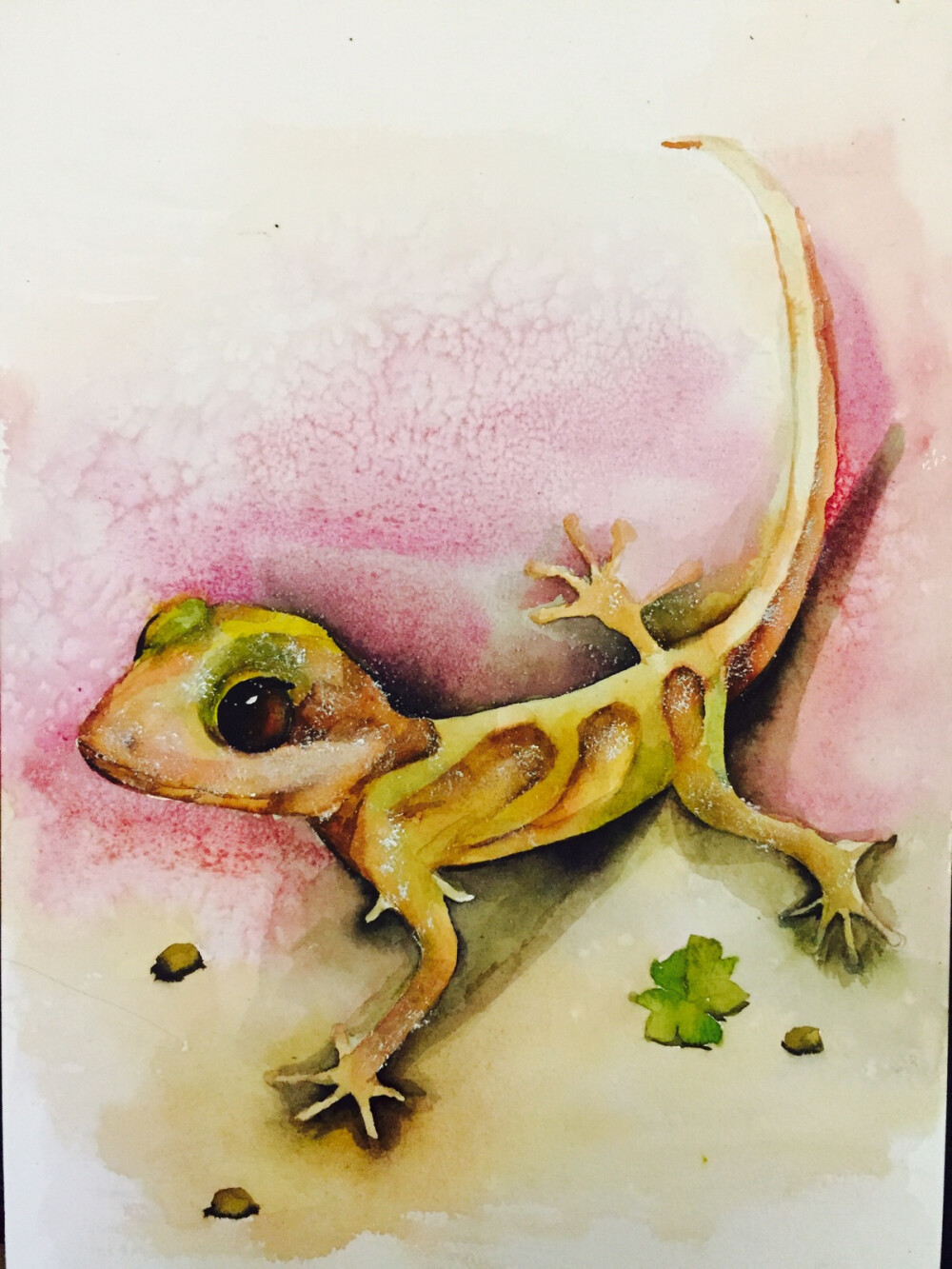 20171026蜥蜴水彩