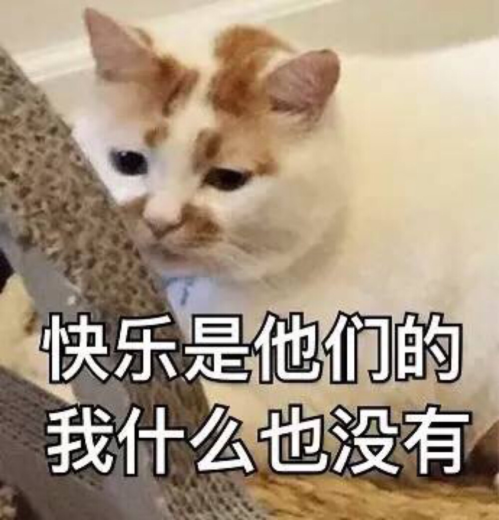 快乐是他们的，我什么都没有