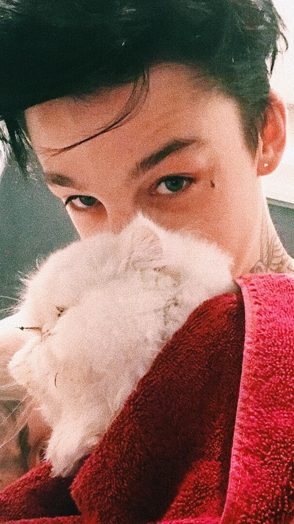 Ash Stymest