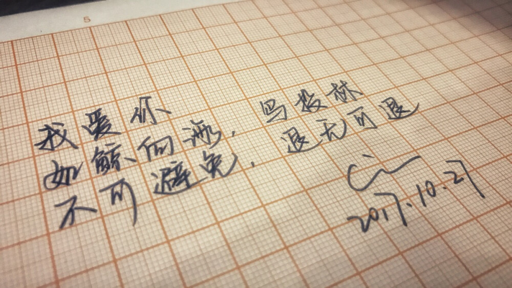 我爱你，如鲸向海，鸟投林。不可避免，退无可退