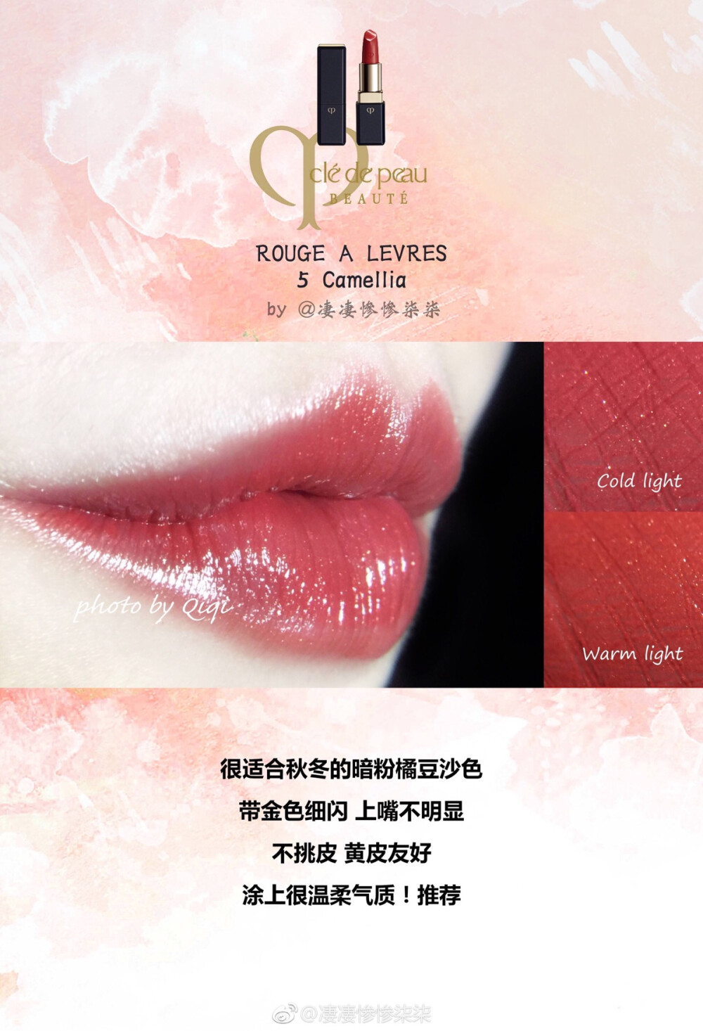 @凄凄惨惨柒柒 cpb 5号camellia