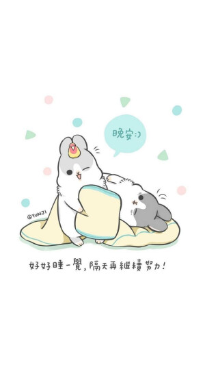 Machiko rabbit 麻几兔