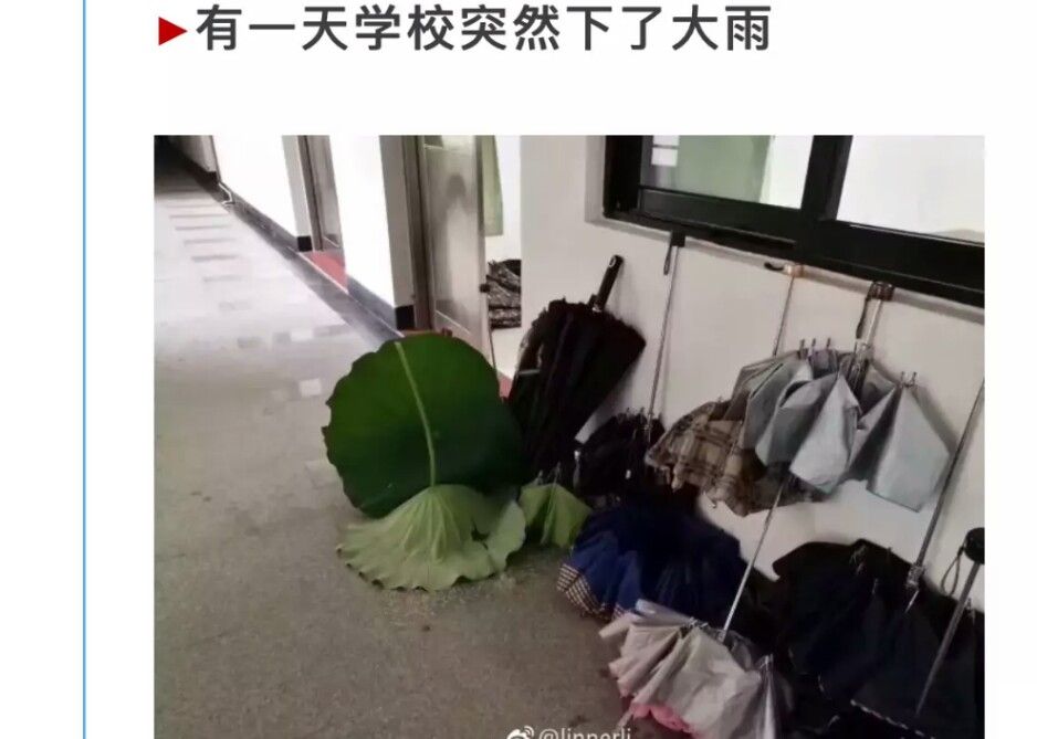 自寻亮点