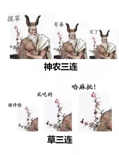 神农三连
草三连