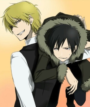 平和岛静雄×折原临也