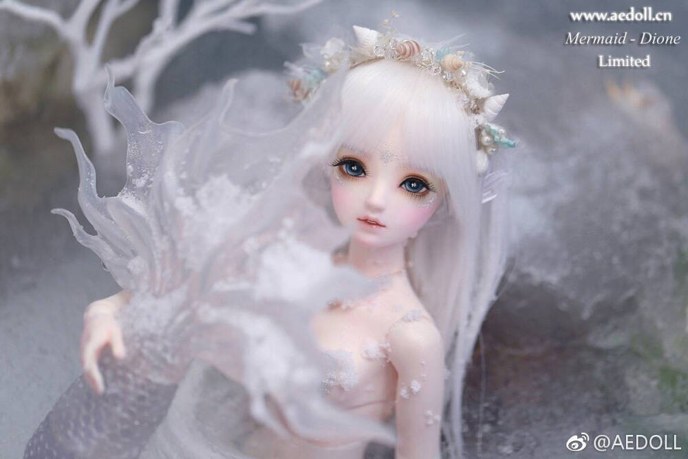 bjd ae